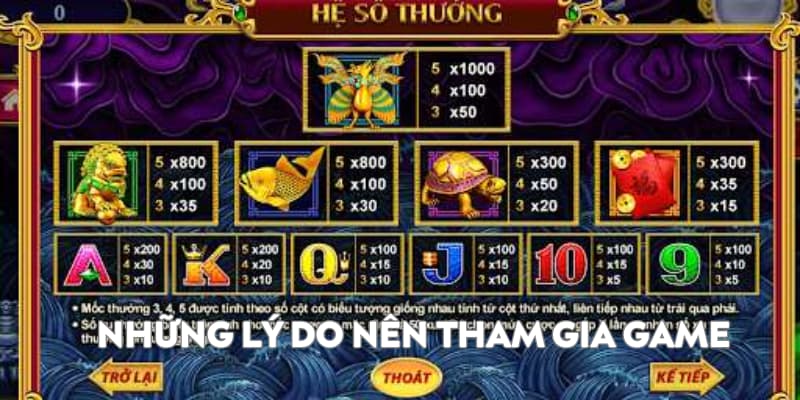 Các lý do nên tham gia